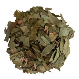 Eucalipto